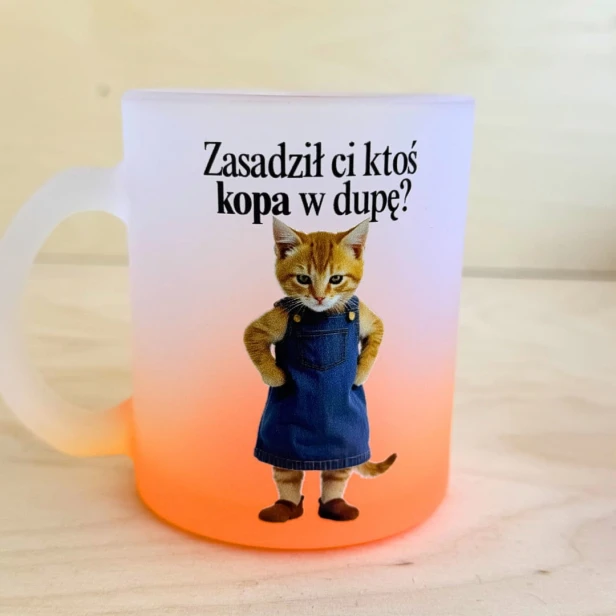 16 Zasadził Ci ktoś kopa w dupę.jpg